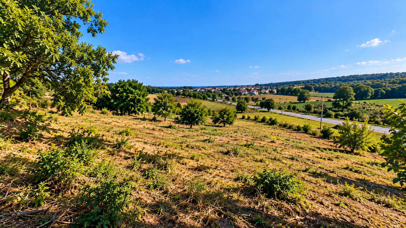 Land for Sale