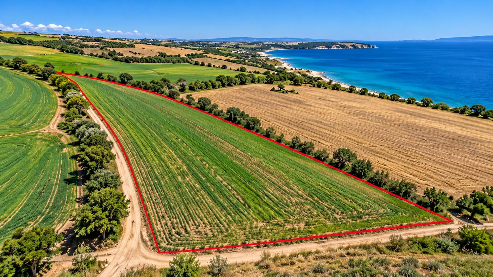 Land for Sale