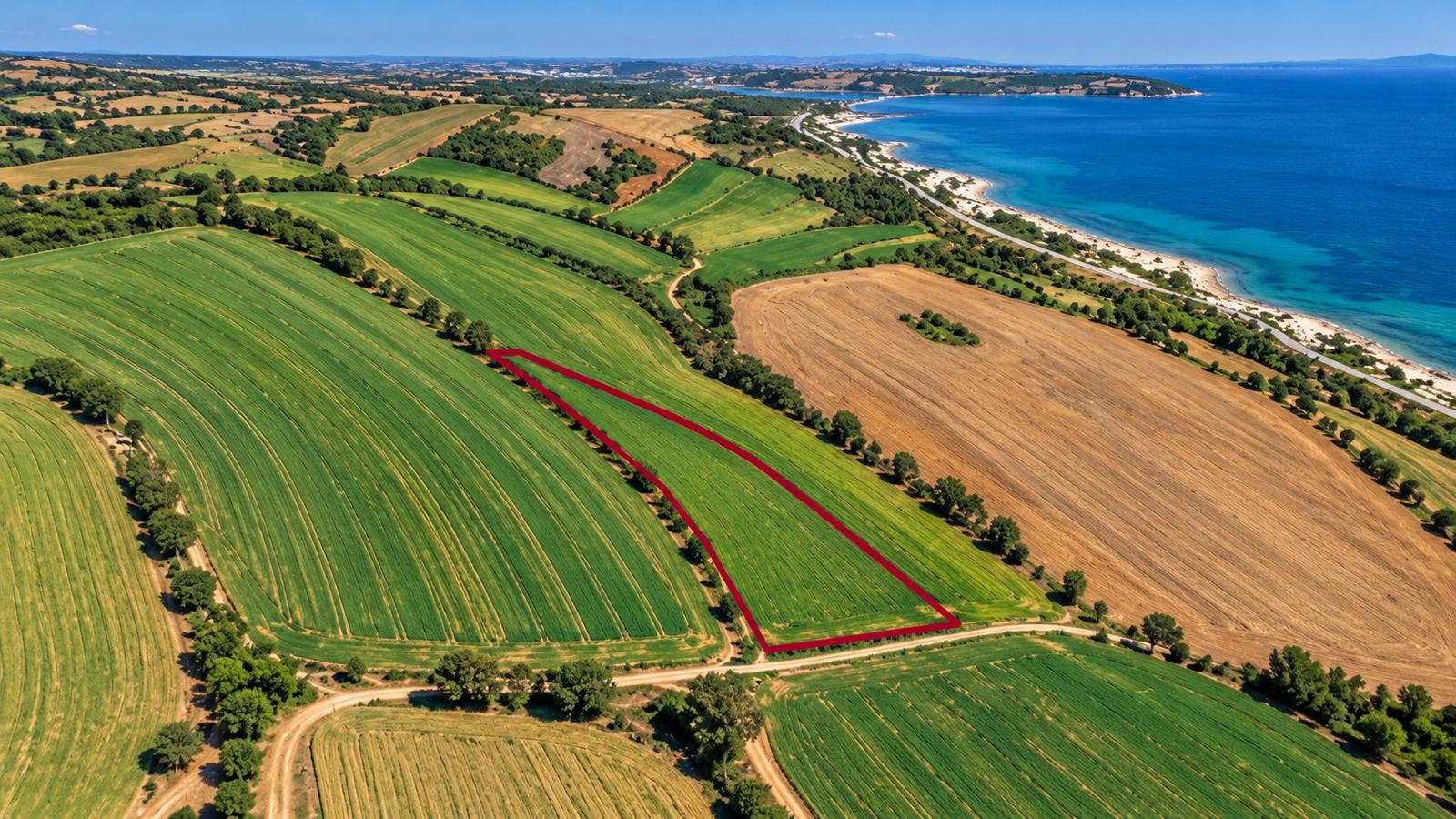 Land for Sale