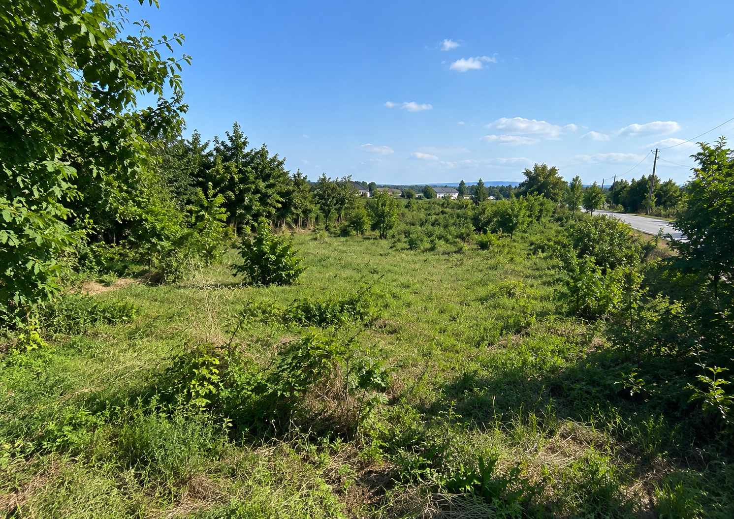 Land for Sale
