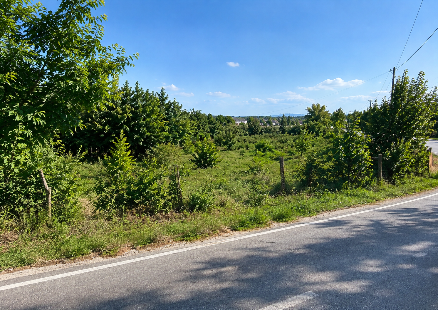 Land for Sale