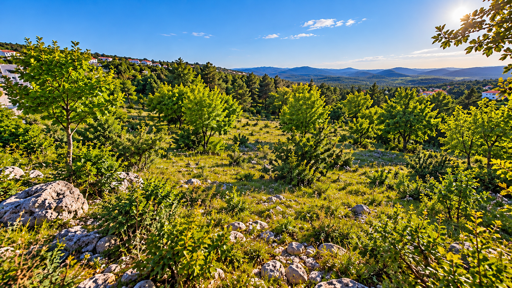 Land for Sale