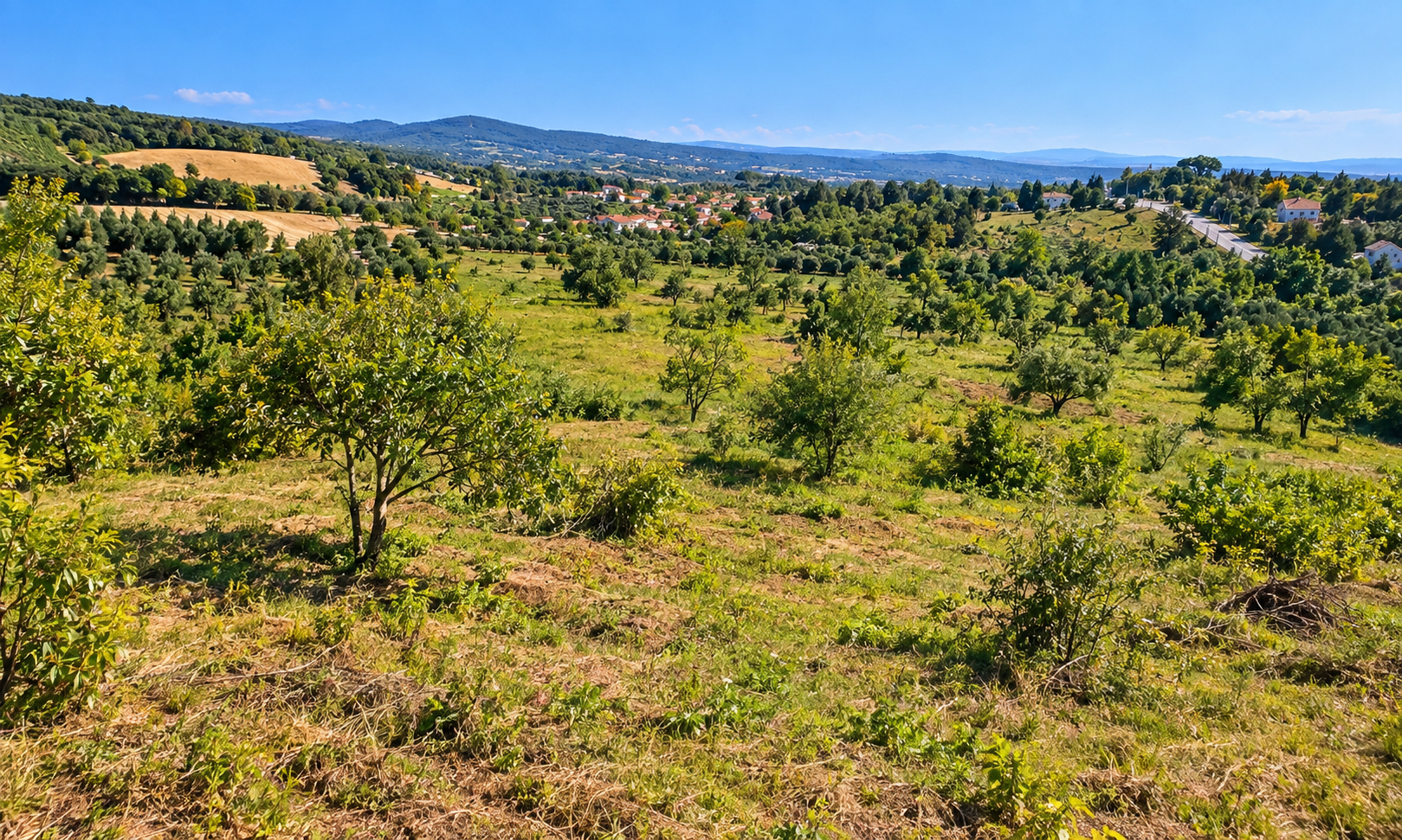 Land for Sale