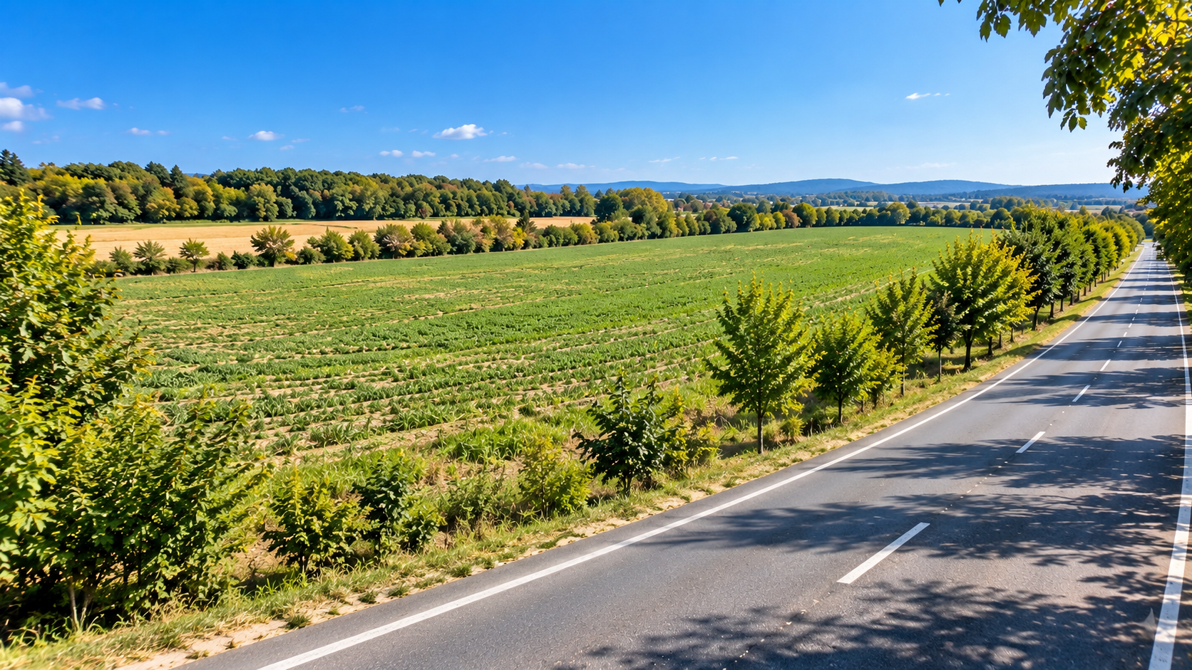 Land for Sale