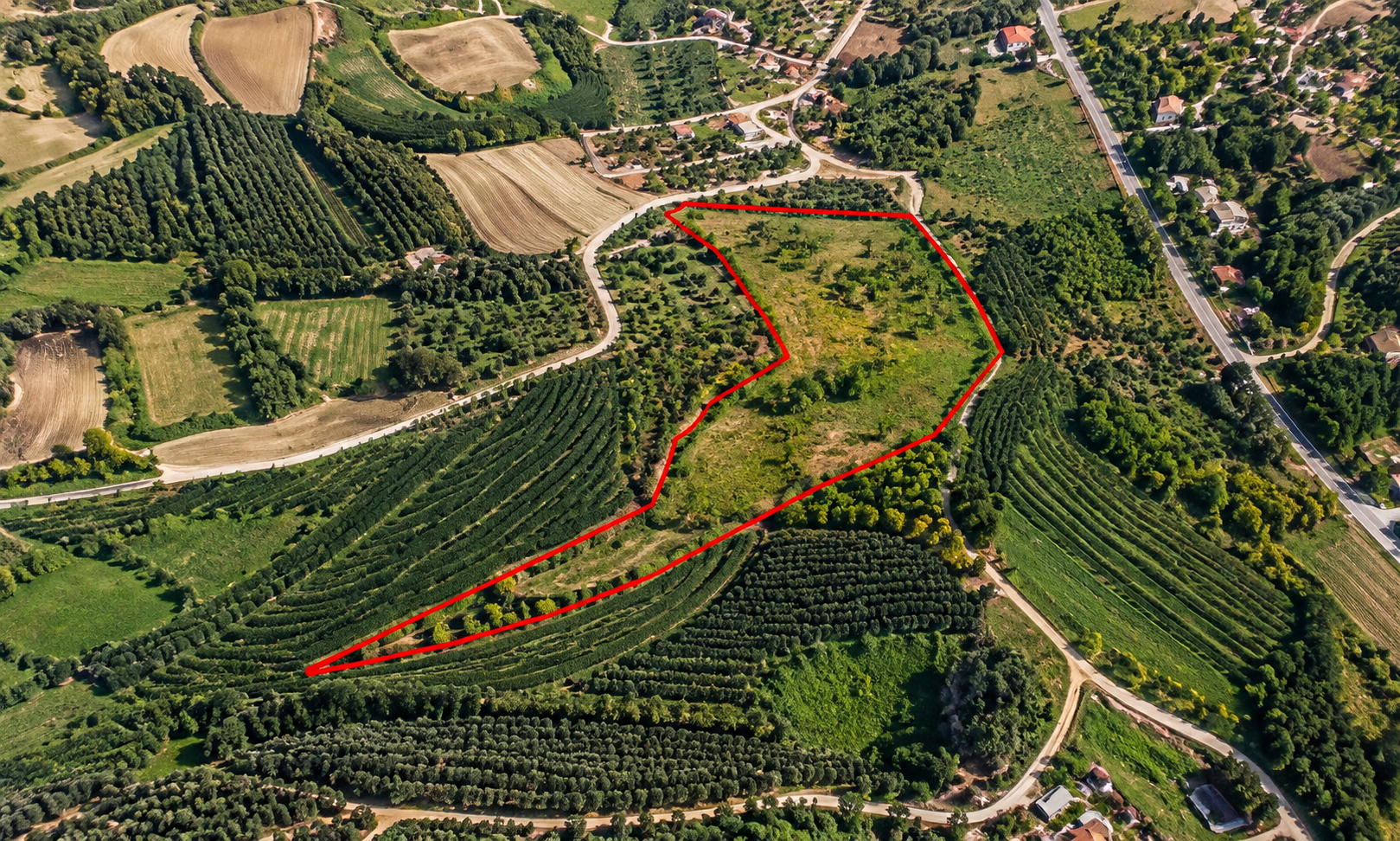 Land for Sale
