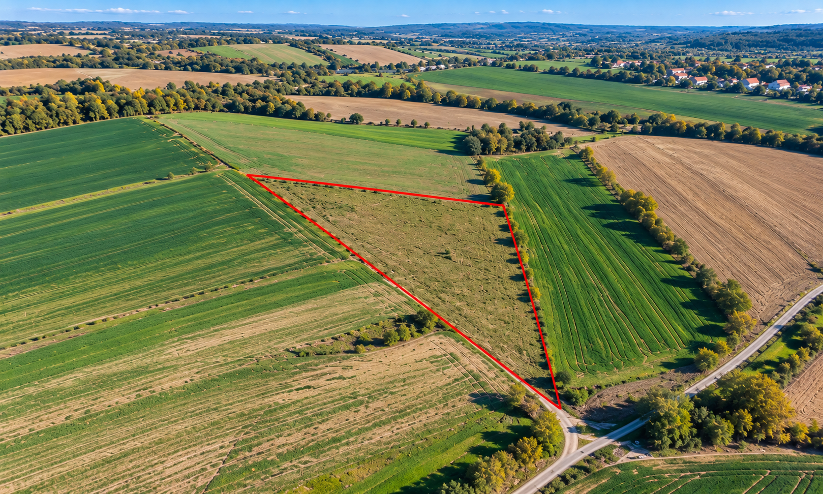 Land for Sale