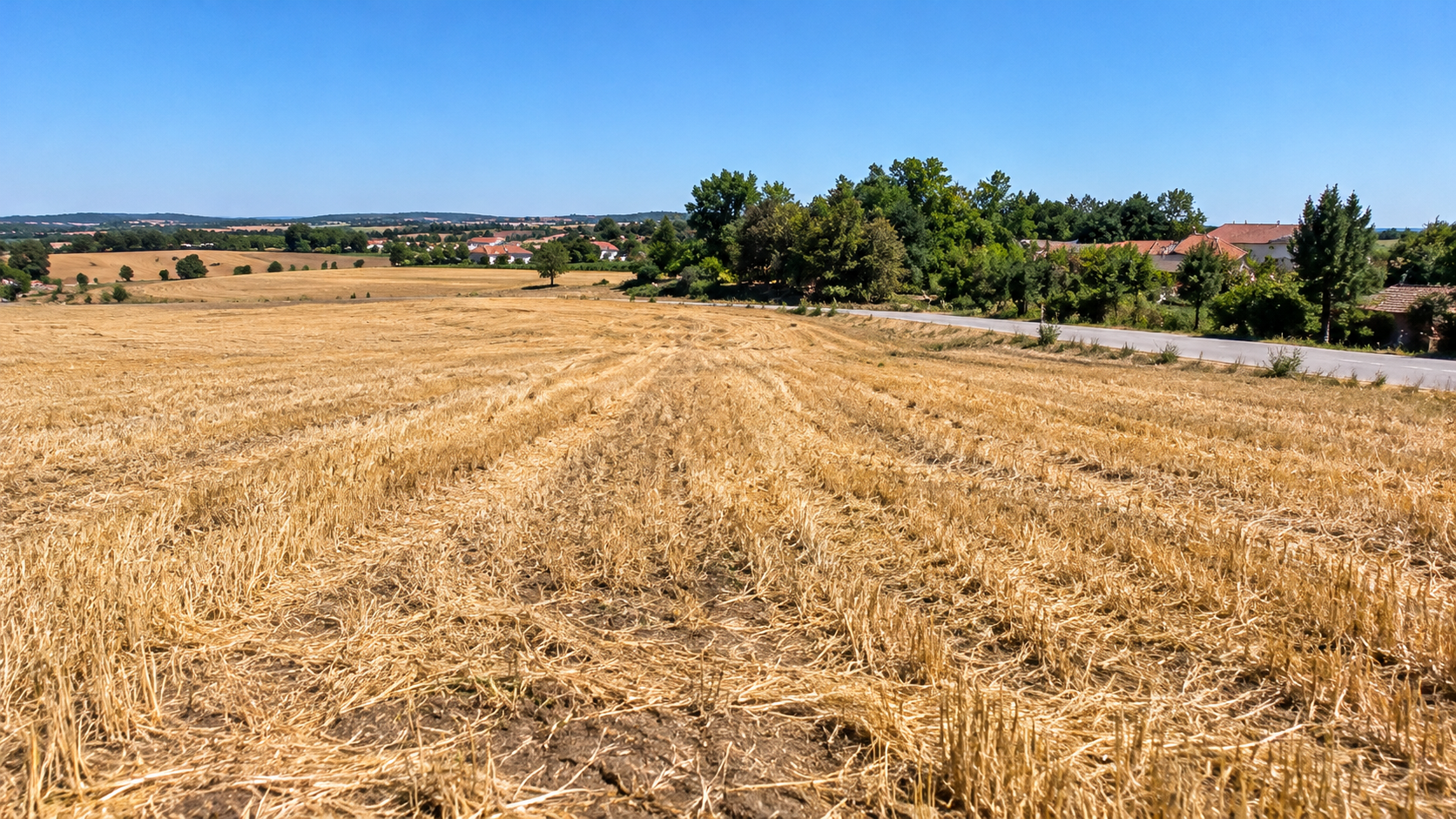 Land for Sale