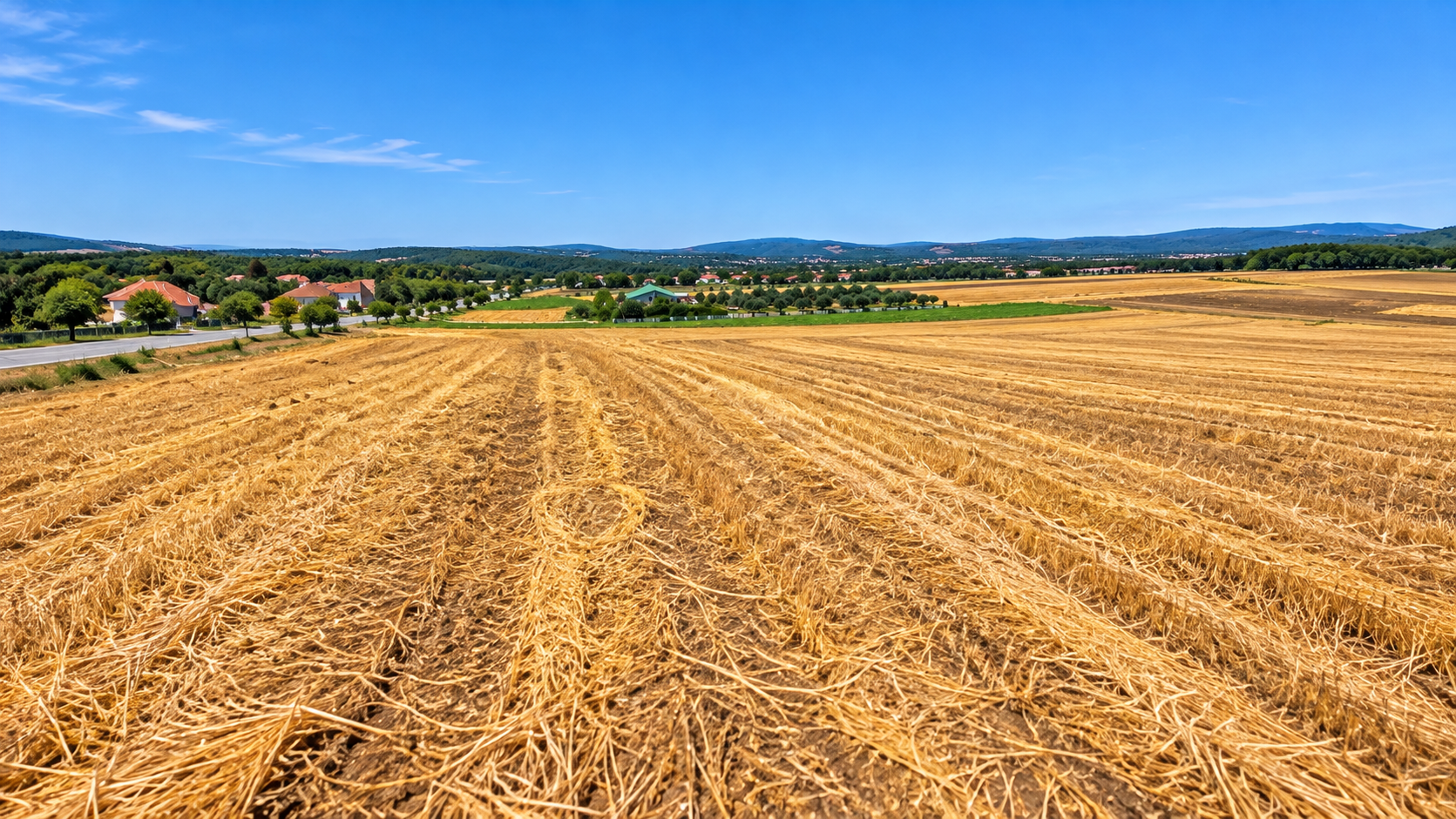 Land for Sale