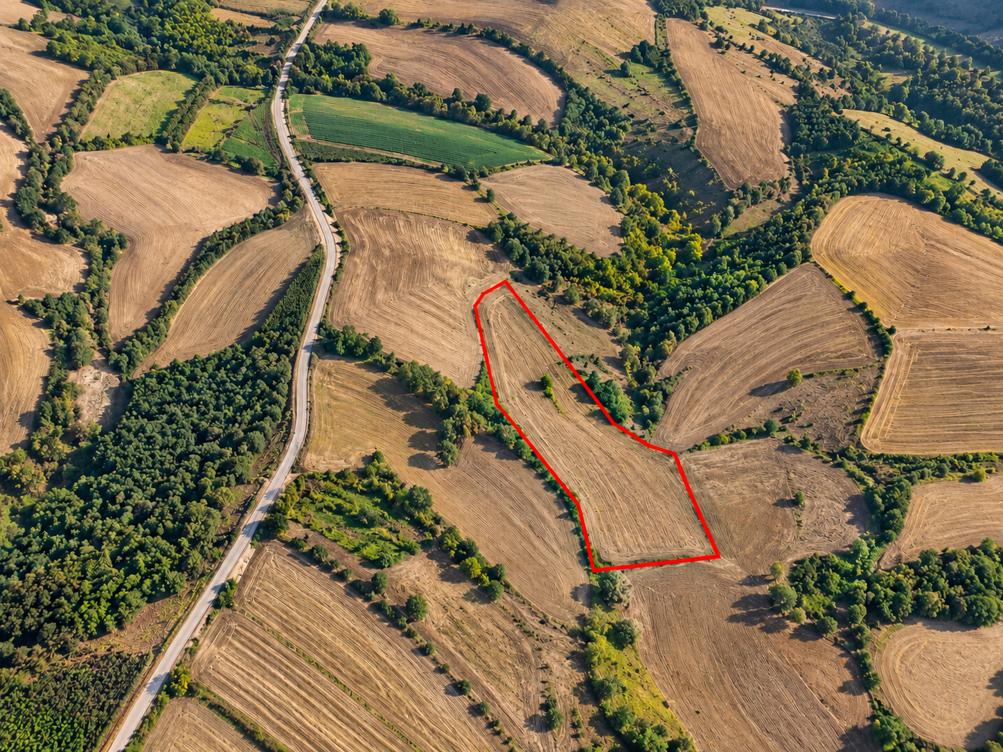 Land for Sale