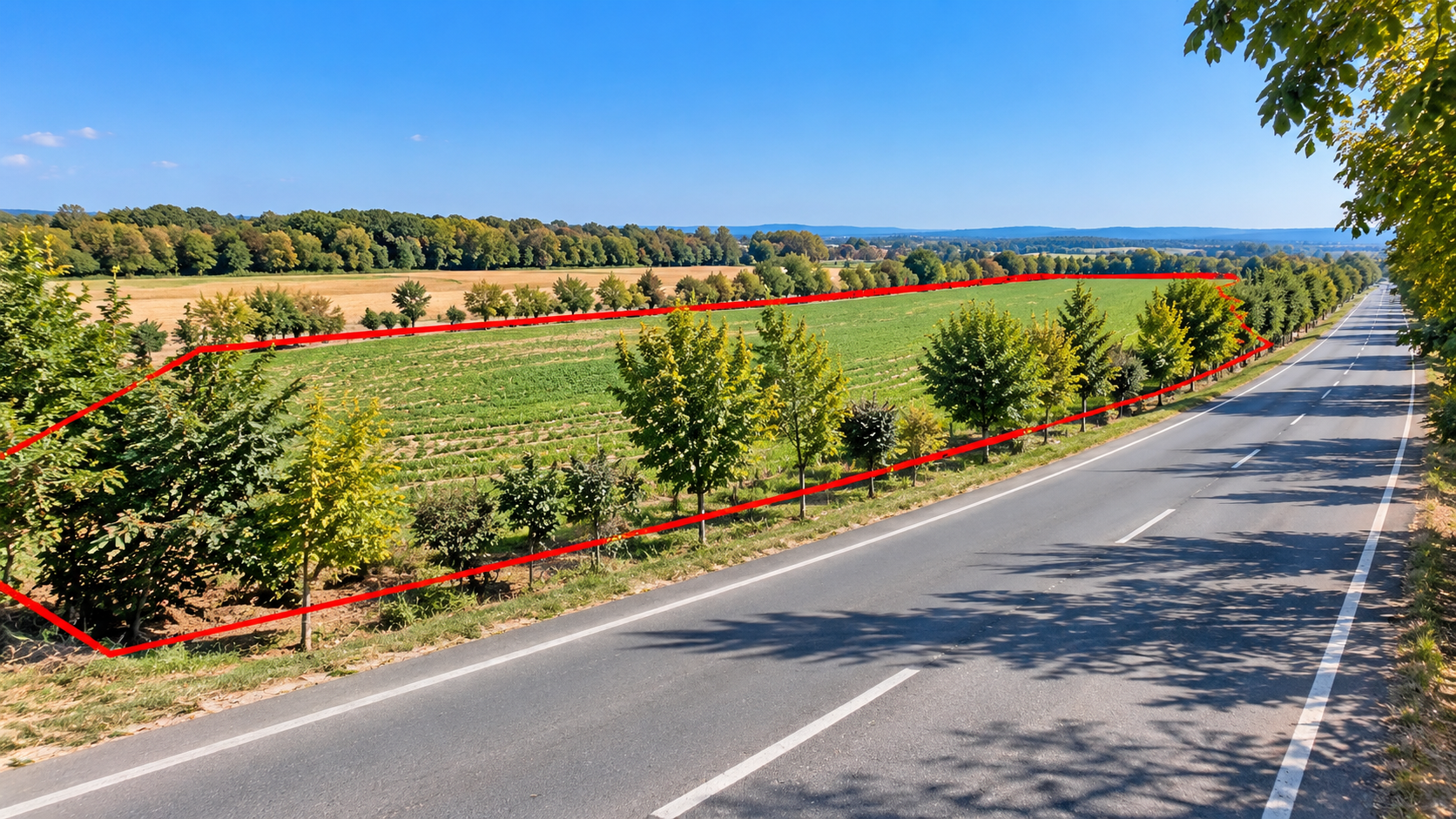 Land for Sale