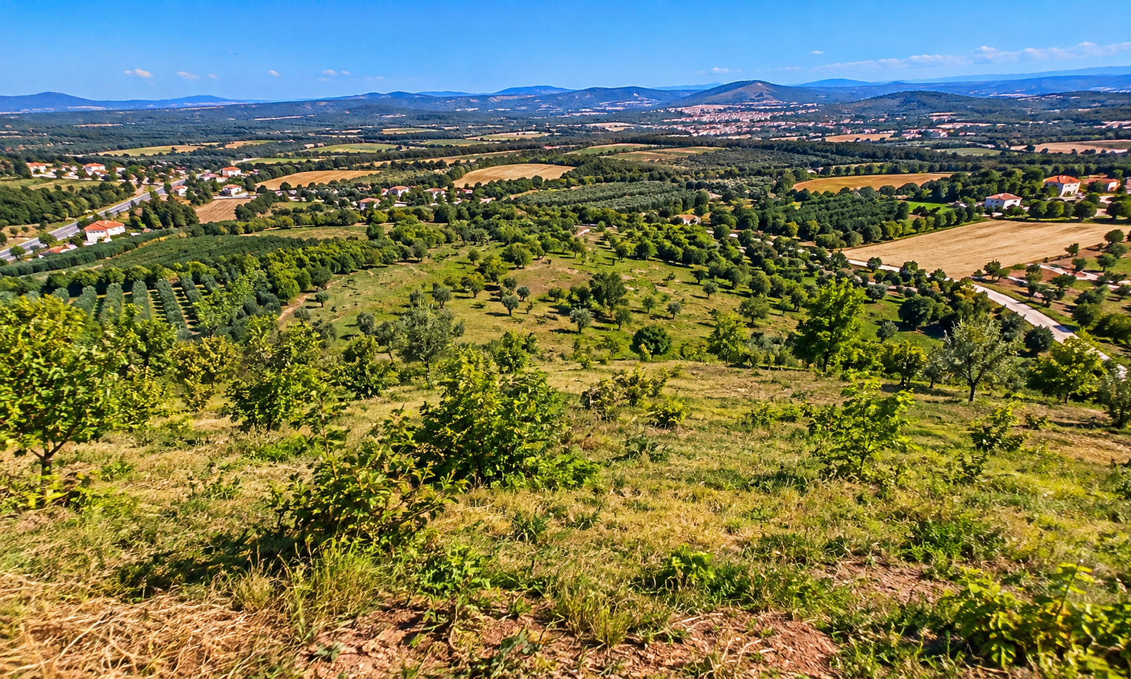Land for Sale