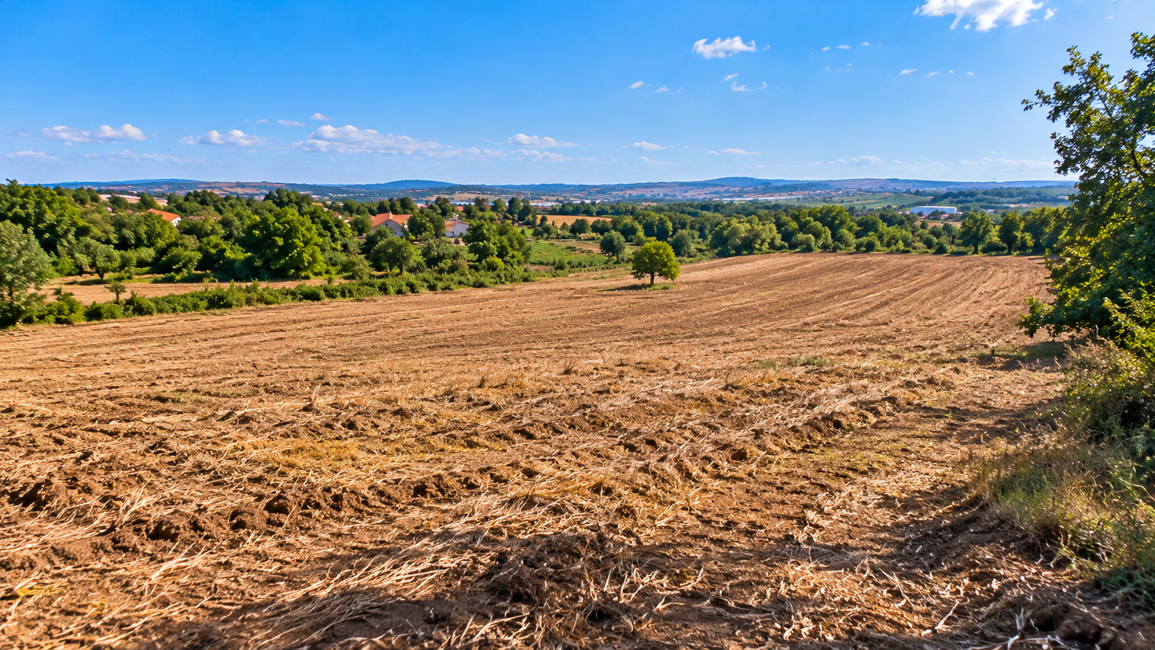 Land for Sale