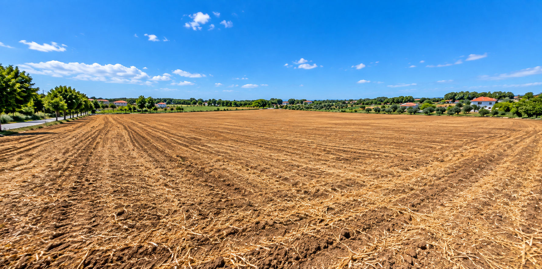 Land for Sale