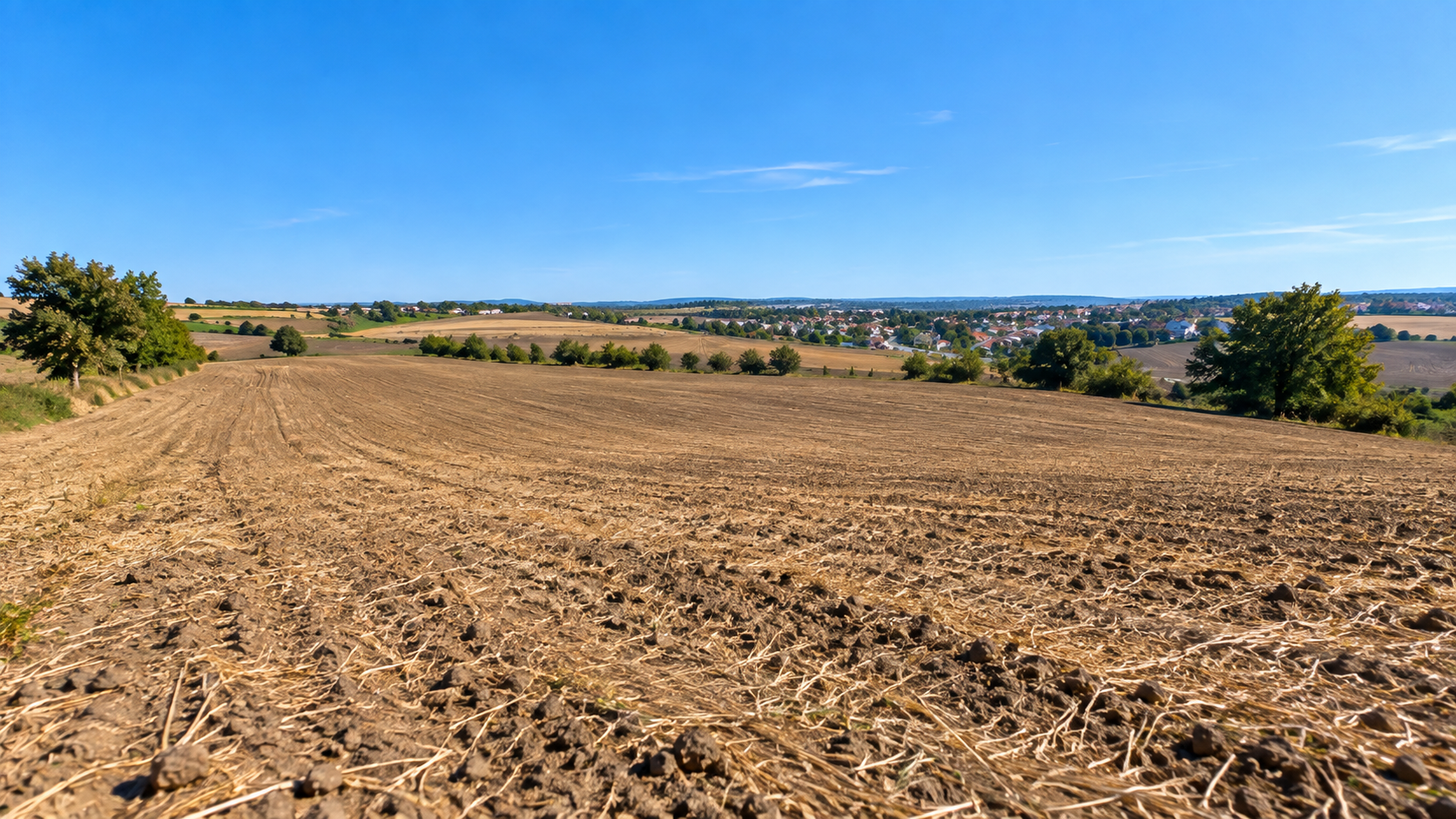 Land for Sale