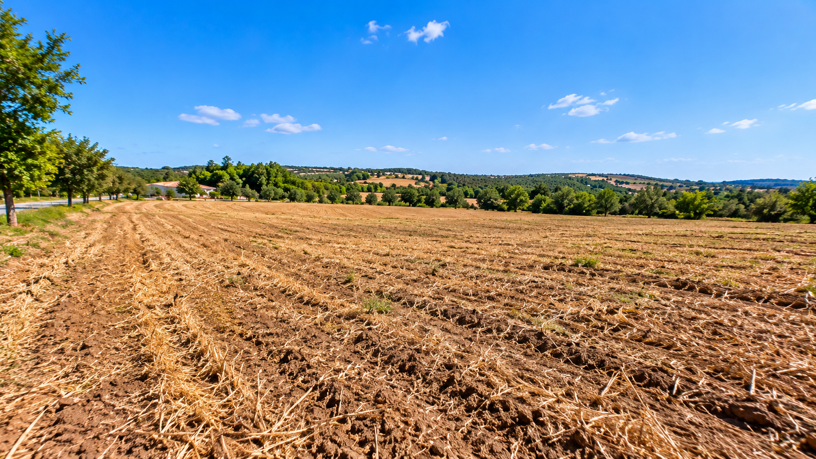 Land for Sale
