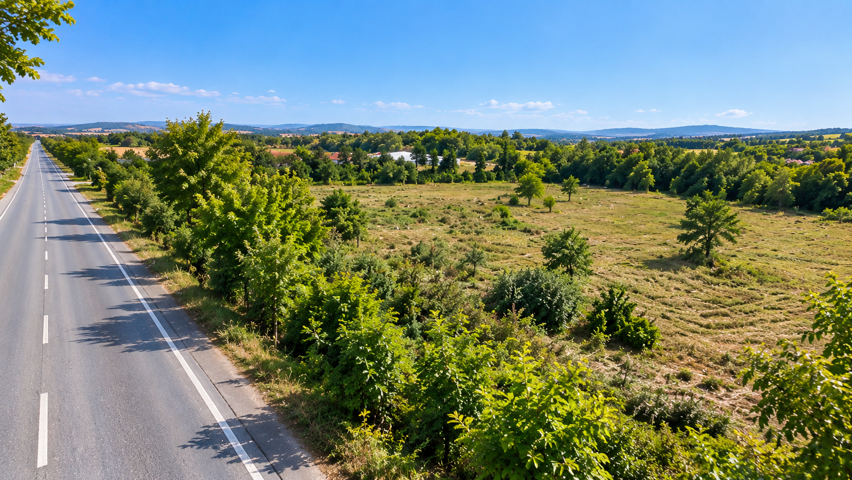 Land for Sale