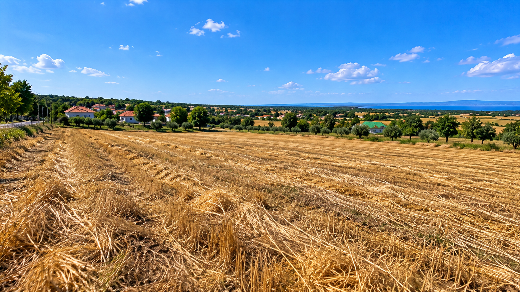 Land for Sale