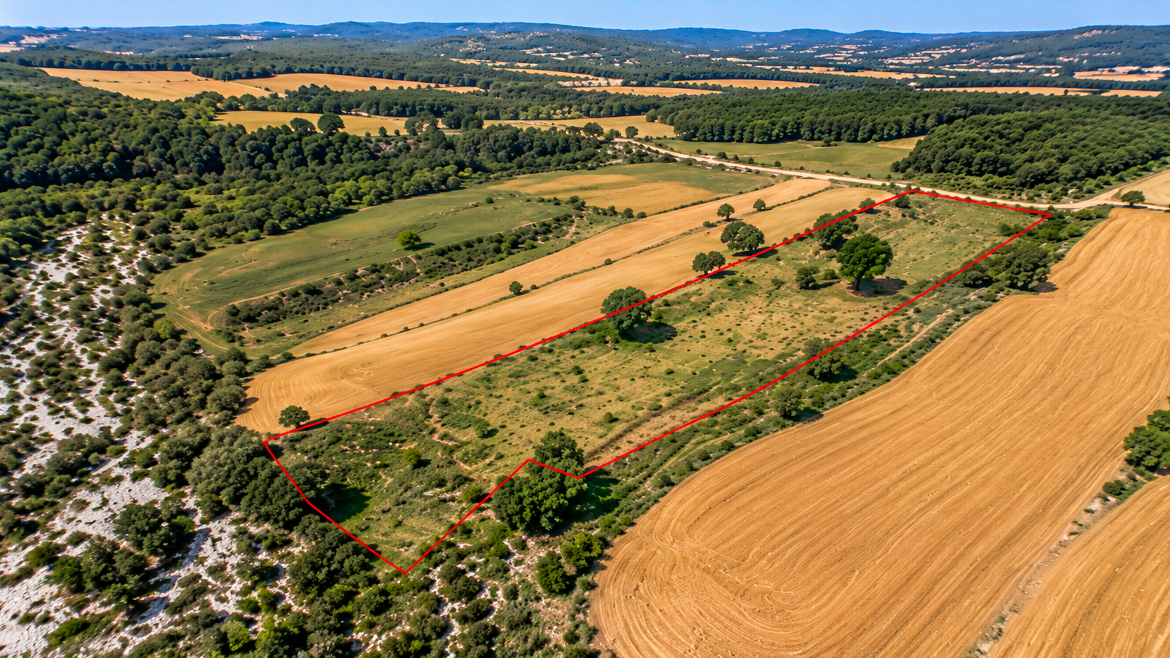 Land for Sale
