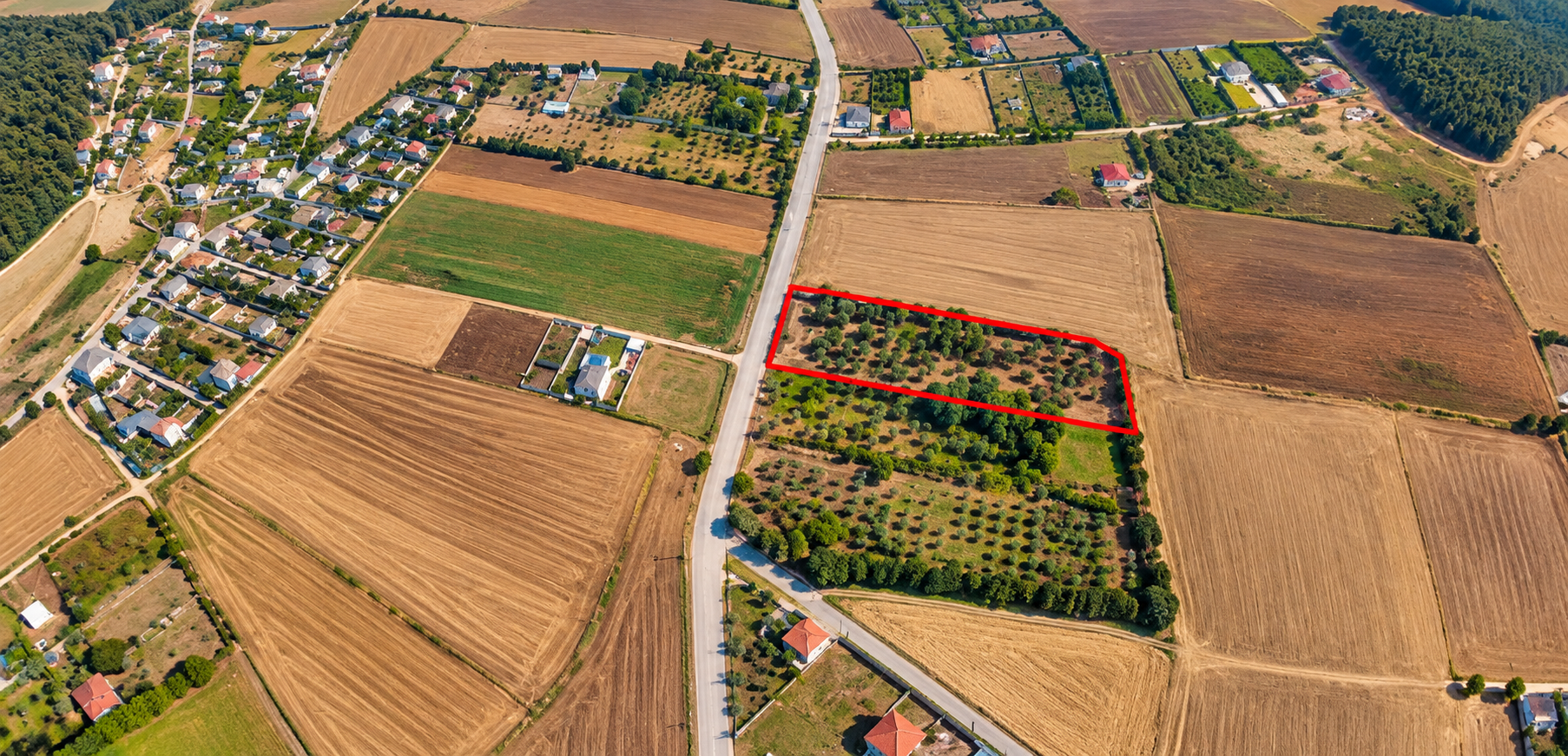 Land for Sale