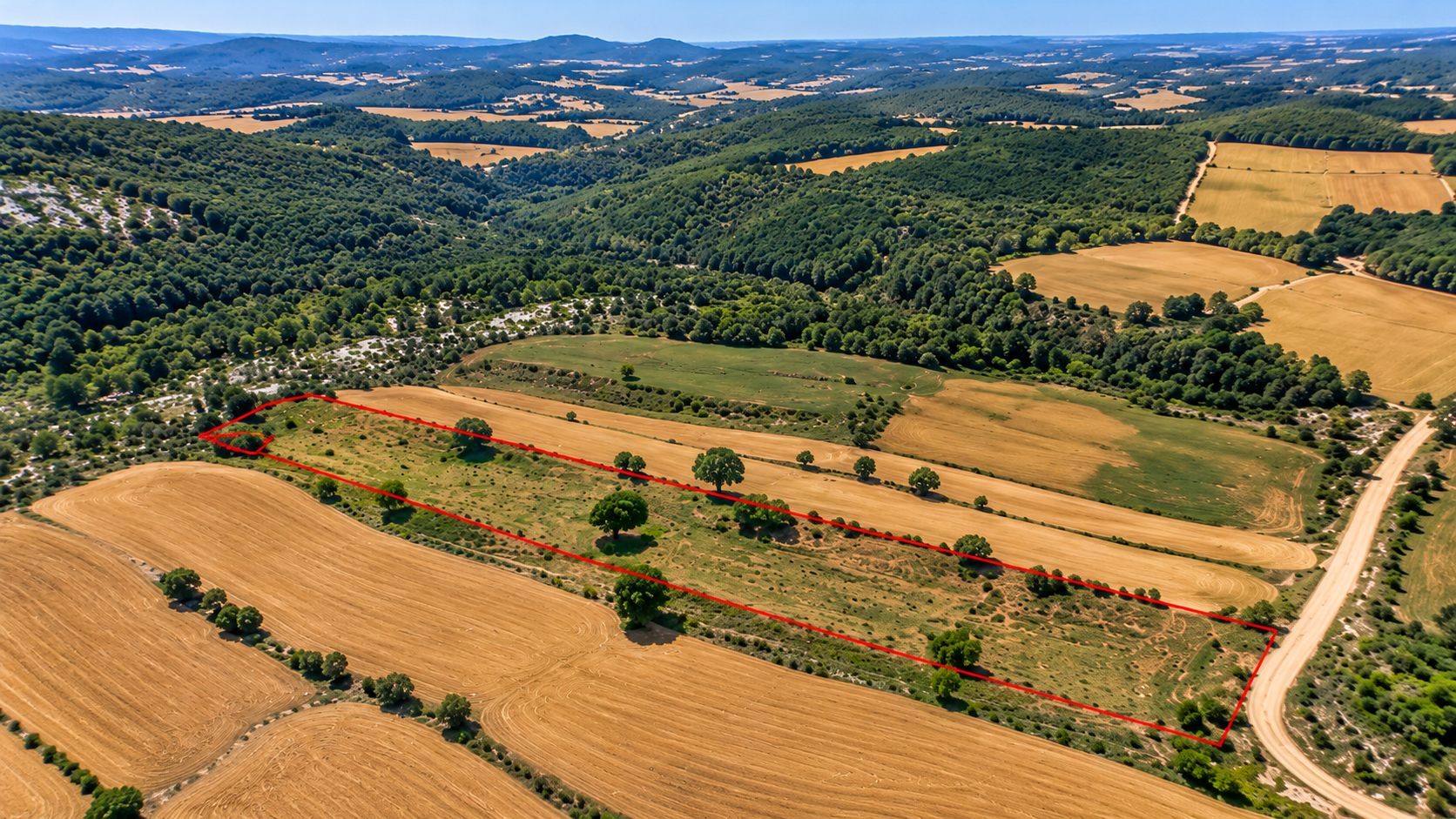 Land for Sale