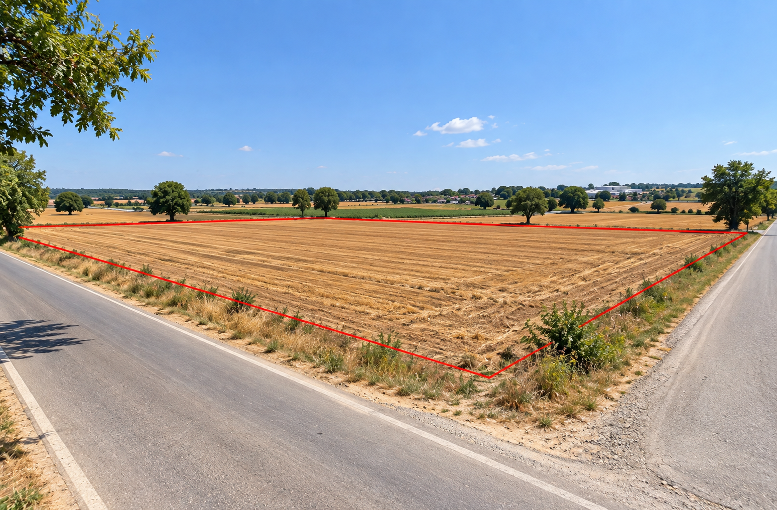 Land for Sale