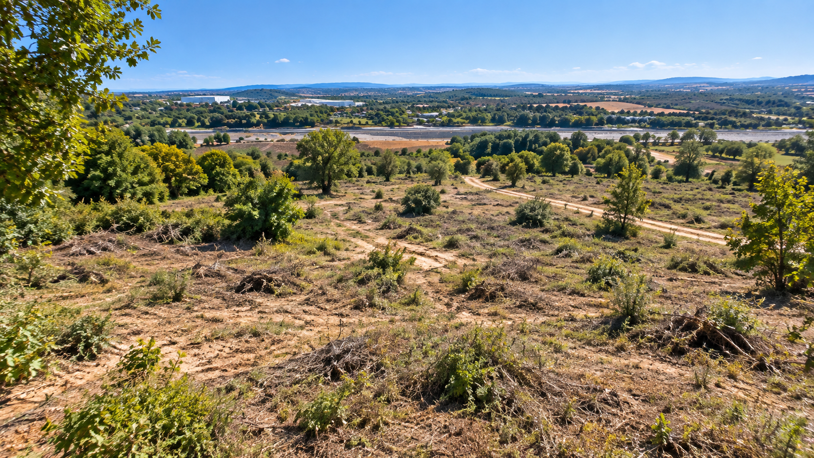 Land for Sale