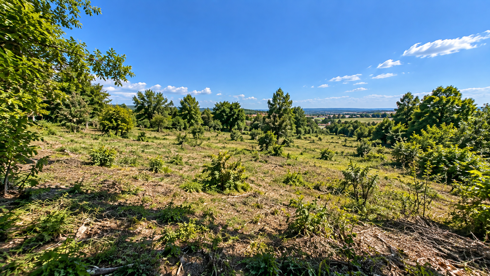 Land for Sale