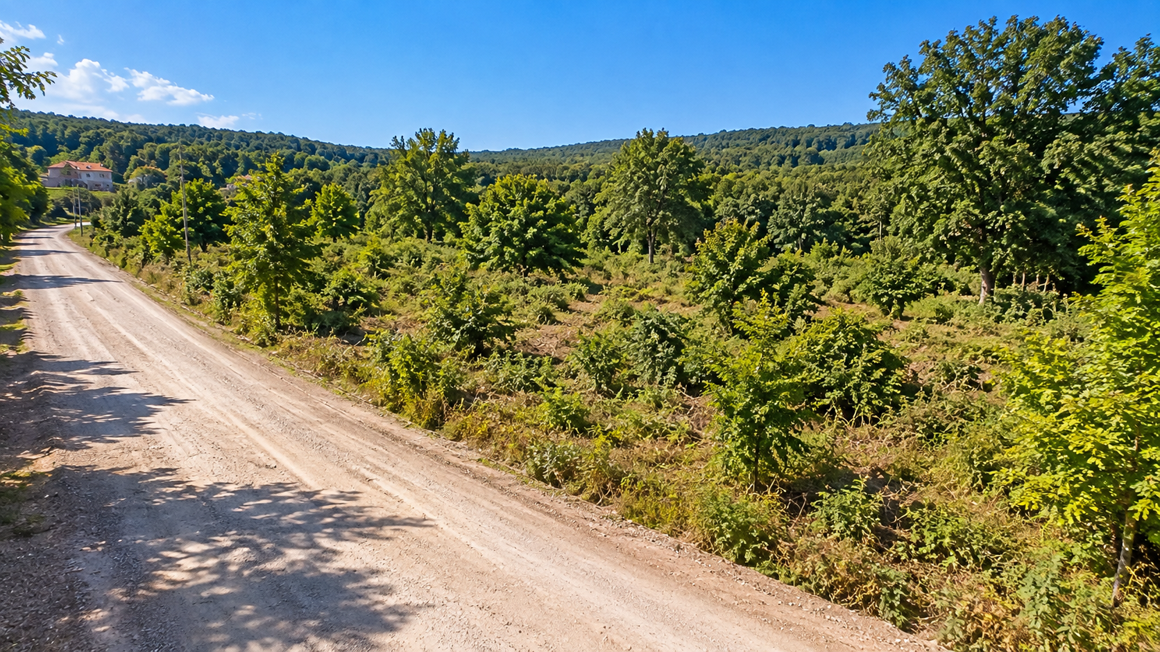 Land for Sale
